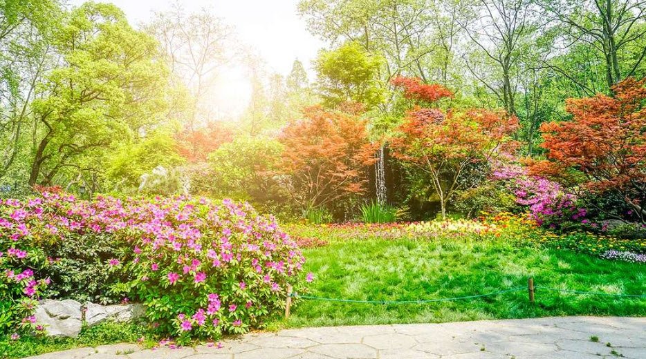 Botanical Garden of Orchaise Priory , , France